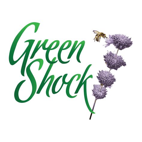 Bred by Greenshock Farms in Nevada County mountains. . Greenshock farms seeds